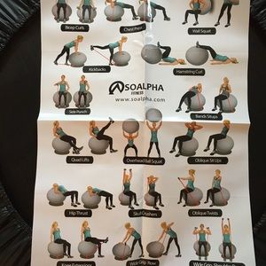 NEW EXERCISE BALL BUNDLE